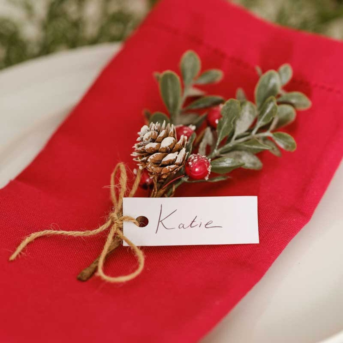 Red Berry Sprig Place Card Holders - 15cm (6pk)