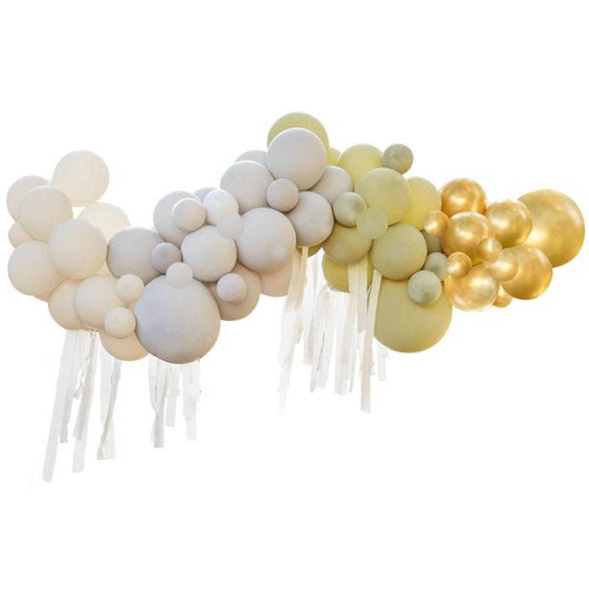 Let&apos;s Go Wild Balloon Arch - 75 Balloons