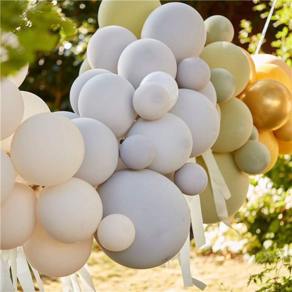 Let&apos;s Go Wild Balloon Arch - 75 Balloons