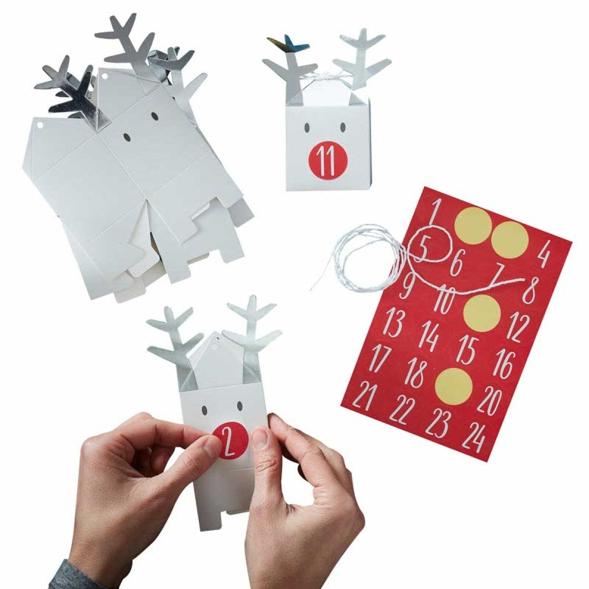 Reindeer Christmas Advent Calendar Boxes (24pk)