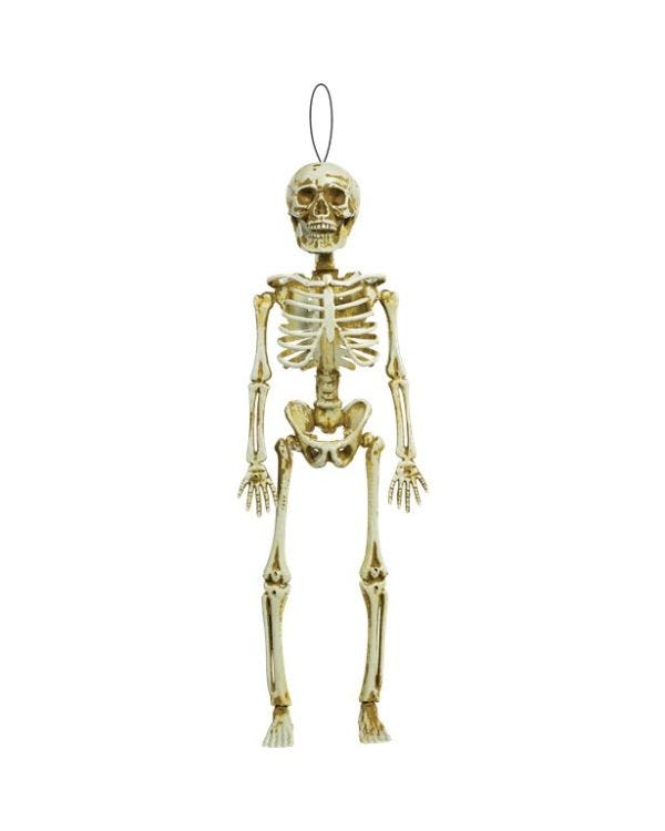Hanging Skeleton - 39cm