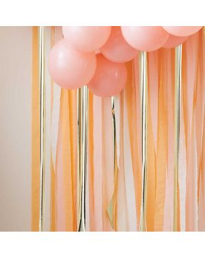 Peach &amp; Gold Streamer Backdrop