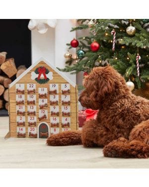 Dog Kennel Fill Your Own Advent Calendar - 45cm