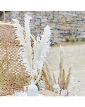 A Touch Of Pampas Bleached Pampas Grass (5pk)
