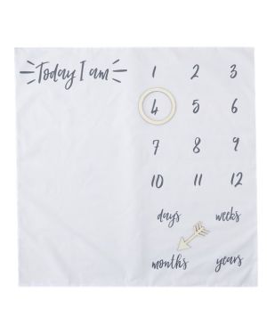 Oh Baby Baby Milestone Blanket Keepsake