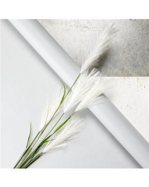 Cream Pampas Grass Decoration - 1.45m